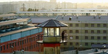 ციხეში პატიმრებს შესაძლოა, მიუსაფარი ცხოველების შეყვანის შესაძლებლობა მიეცეთ