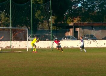 გურიის ახალი ამბები – 20.10.2023