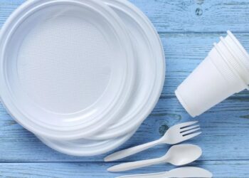 ინგლისში ერთჯერადი გამოყენების პლასტმასა აიკრძალა