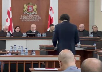 “შეგრძნება მრჩება, რომ სასამართლოში მეტი მტკიცებულებები უნდა გაცხადდეს, რომ ნამდვილად დარღვევაზე გვქონდეს საუბარი” – მანანა კობახიძე პრეზიდენტის იმპიჩმენტზე