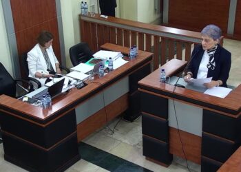 “საქართველოს პრეზიდენტი არავის ტყვე არ არის, მათ შორის ვერც საქართველოს მთავრობის ტყვე ვერ იქნება” – მაია კოპალეიშვილი