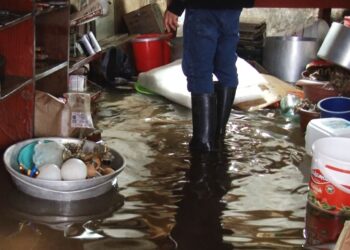 რა ხდება ოზურგეთსა და ლანჩხუთში – ბოლო ცნობები სტიქიის ზონებიდან