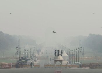ჰაერის დაბინძურების გამო, ნიუ დელიში ავტომობილების გადაადგილება ერთი კვირით შეიზღუდება