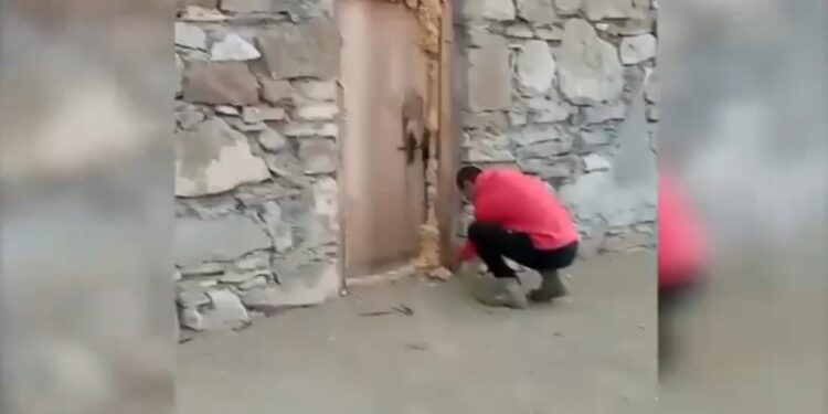 ოკუპანტებმა მოკლული თამაზ გინტურის მიერ გადაღებული ვიდეო გაავრცელეს