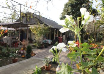 (+ვიდეო),,გობრონიძეების ღვინის მარანი ” – კიდევ ერთი ტურისტული სივრცე ოზურგეთში