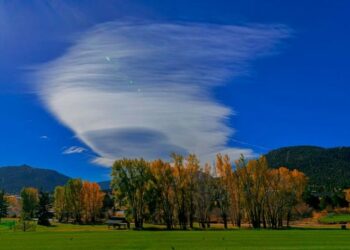წელს ოქტომბრის თვე რეკორდულად ყველაზე თბილი იყო – მსოფლიო მეტეოროლოგიური ორგანიზაციის განცხადება