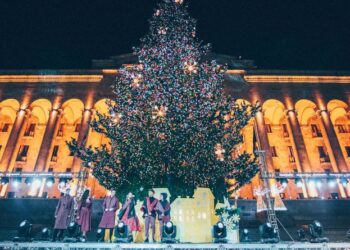 რა ფასად აპირებს წელს თბილისის მერიას, ახალი ნაძვის ხის შეძენას