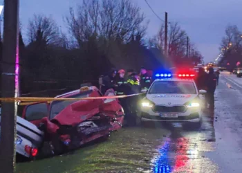 ერთი ადამიანი დაიღუპა, რამდენიმე კი დაშავდა – ავარია სამეგრელოში