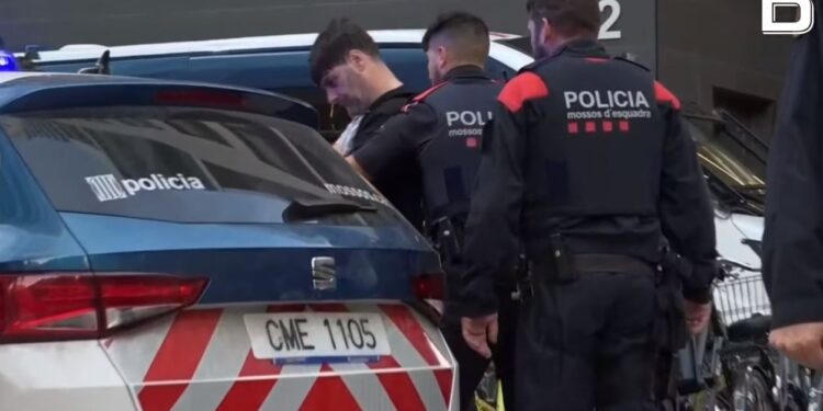 ესპანეთში დანაშაულებრივი დაჯგუფების 30-ზე მეტი ქართველი წევრი დააკავეს