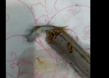 ” რა ჯანდაბას გვასმევთ? ” – რა აღმოაჩინეს ოზურგეთში წყლის ფილტრში