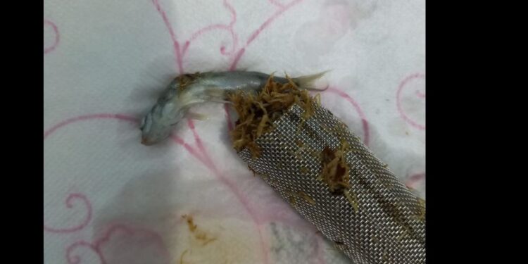 ” რა ჯანდაბას გვასმევთ? ” – რა აღმოაჩინეს ოზურგეთში წყლის ფილტრში