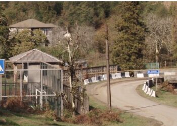 (+ვიდეო) ლანჩხუთში პედაგოგი სექსუალური ხასიათის დანაშაულისთვის დააკავეს