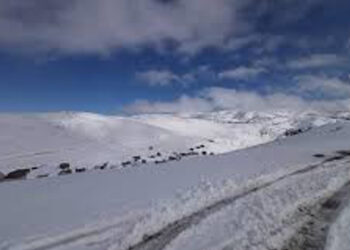 როდემდე იქნება აკრძალული გომისმთისკენ გადაადგილება