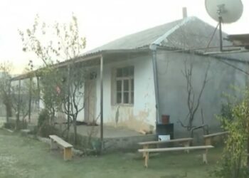 ახალი დეტალები, კახეთში ყოფილი ცოლის დაჭრისა და მისი მეუღლის მკვლელობის შესახებ