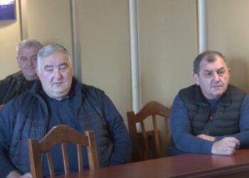 ოზურგეთის ბიუჯეტის პროექტი საკრებულოს საფინანსო კომისიაში განიხილეს