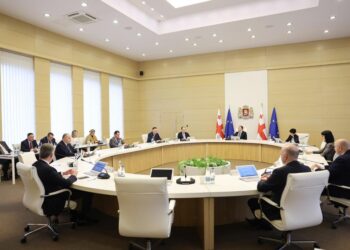 უსახლკარო მრავალშვილიან ოჯახებს სახელმწიფო, 2024 წლიდან ბინას შეუძენს