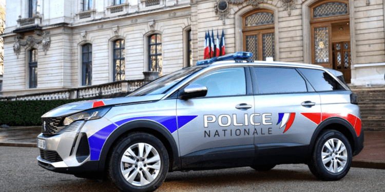 პუშკინის იშვიათი გამოცემის ქურდობისთვის საფრანგეთში საქართველოს მოქალაქეები დააკავეს