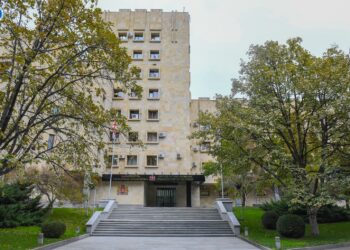 სპორტული სკოლის ბუღალტერმა პირად ანგარიშებზე სახელმწიფო ხაზინიდან 86 699 ლარი ჩაირიცხა