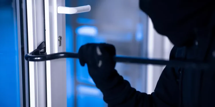 საფრანგეთში დააკავეს ქართველები, რომელთაც ქურდობაში ედებათ ბრალი