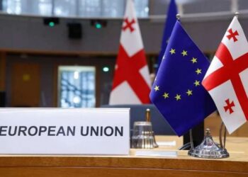 რა ეკონომიკურ სარგებელს მოუტანს საქართველოს ევროკავშირის კანდიდატი ქვეყნის სტატუსი