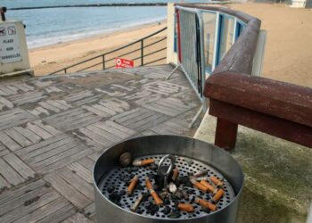 საფრანგეთში ტყეებში, პლაჟებსა და საზოგადოებრივ პარკებში მოწევა აიკრძალება – მიზეზები