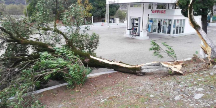 დაზიანებული ელექტროგადამცემი ბოძები, მოგლეჯილი ხეები – სტიქია წალენჯიხაში