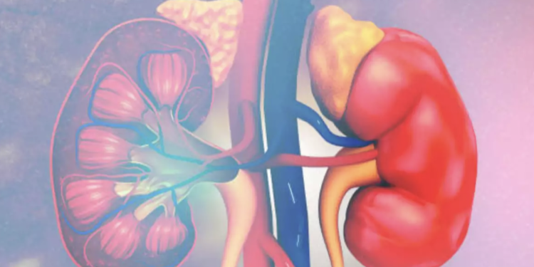 თირკმლის პრობლემების გამაფრთხილებელი ნიშნები