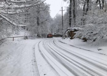 ჩოხატაური-ბახმაროს და ოზურგეთი-შემოქმედი-გომისმთას გზების ცალკეულ მონაკვეთებზე შეზღუდვები დაწესდა