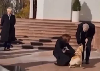 მოლდოვის პრეზიდენტის ძაღლმა ავსტრიის პრეზიდენტს უკბინა