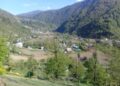 ჩოხატაურში, სატყეო უბანზე ბრაკონიერთა ჯგუფი ტყის მცველს ფიზიკურად გაუსწორდა – დაკავებულია ოთხი პირი