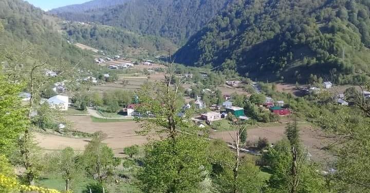 ჩოხატაურში, სატყეო უბანზე ბრაკონიერთა ჯგუფი ტყის მცველს ფიზიკურად გაუსწორდა – დაკავებულია ოთხი პირი