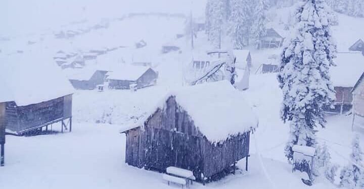 ბახმაროდან დიდთოვლობის გამო ჩარჩენილი მოქალაქეების გამოყვანა მიმდინარეობს