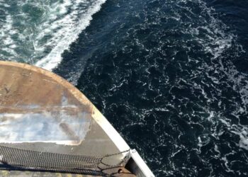 ერთი ადამიანი დაიღუპა, 12-ს კი ეძებენ საბერძნეთში სატვირთო გემის ჩაძირვის შედეგად