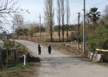 ”მოფერება და წელზე ხელის შემოხვევა სცადა” – ლანჩხუთში პედაგოგი მოსწავლის მიმართ სექსუალური ქმედების ჩადენის ბრალით დააკავეს