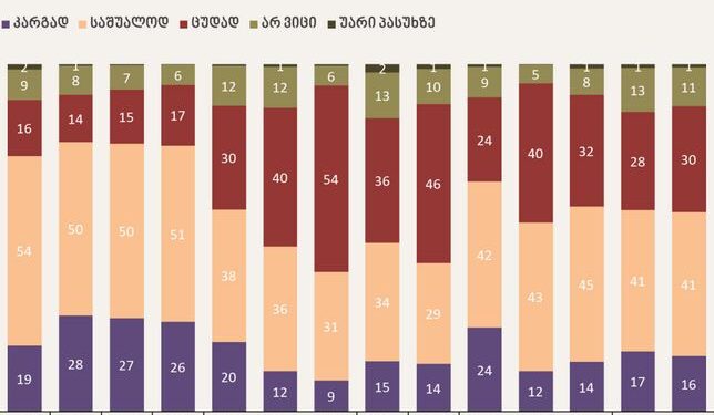 გამოკითხულთა უმრავლესობა საქართველოს პრეზიდენტის საქმიანობას საშუალოდ ან კარგად აფასებს – NDI კვლევა