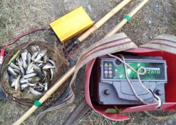 ელექტროშოკური აპარატით თევზჭერა, პირველივე ჯერზე სისხლის სამართლის დანაშაულად დაკვალიფიცირდება