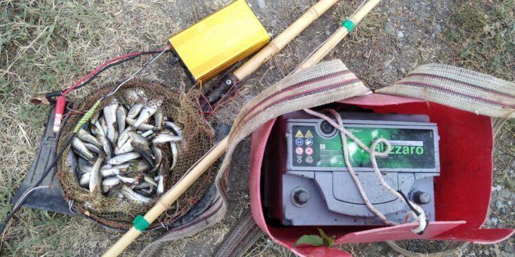 ელექტროშოკური აპარატით თევზჭერა, პირველივე ჯერზე სისხლის სამართლის დანაშაულად დაკვალიფიცირდება