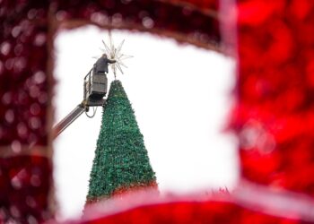 დღეს ოზურგეთში საახალწლო ნაძვის ხე აინთება – ნახეთ ღონისძიებების განრიგი