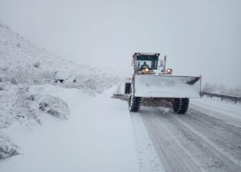 გზის რომელ მონაკვეთებზეა აკრძალული/დასაშვები ავტოტრანსპორტის მოძრაობა