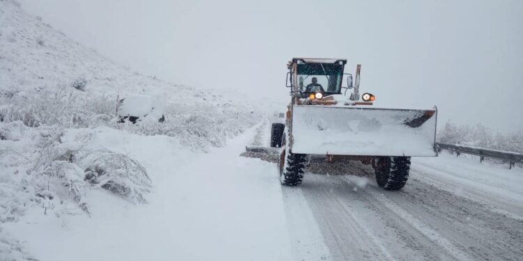 გზის რომელ მონაკვეთებზეა აკრძალული/დასაშვები ავტოტრანსპორტის მოძრაობა