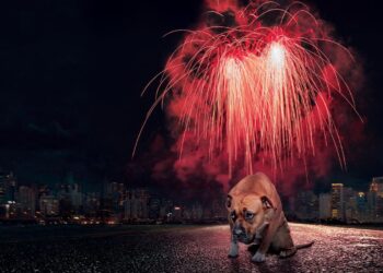 “პიროტექნიკის გამოყენება სახიფათოა ადამიანის ჯანმრთელობისთვის” – პიროტექნიკის აკრძალვის მოთხოვნით პეტიცია შეიქმნა