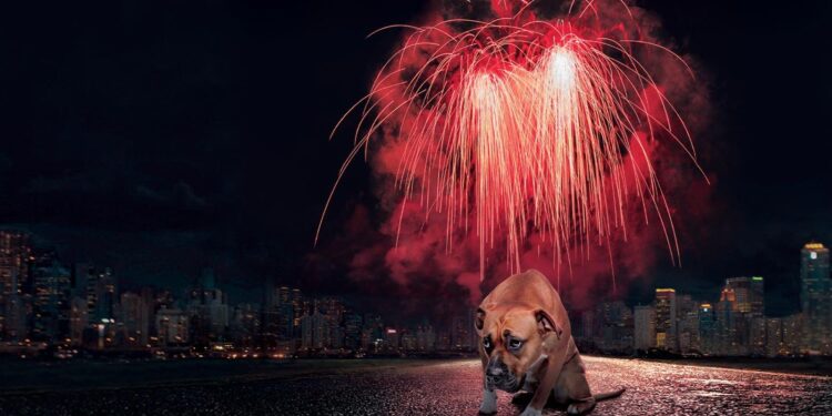 “პიროტექნიკის გამოყენება სახიფათოა ადამიანის ჯანმრთელობისთვის” – პიროტექნიკის აკრძალვის მოთხოვნით პეტიცია შეიქმნა