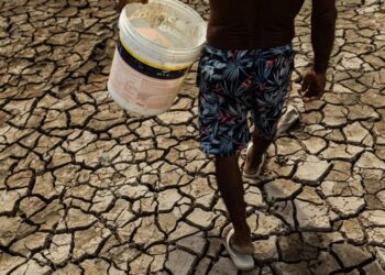 ძლიერი გვალვის შედეგად ამაზონში საგანგებო მდგომარეობაა გამოცხადებული