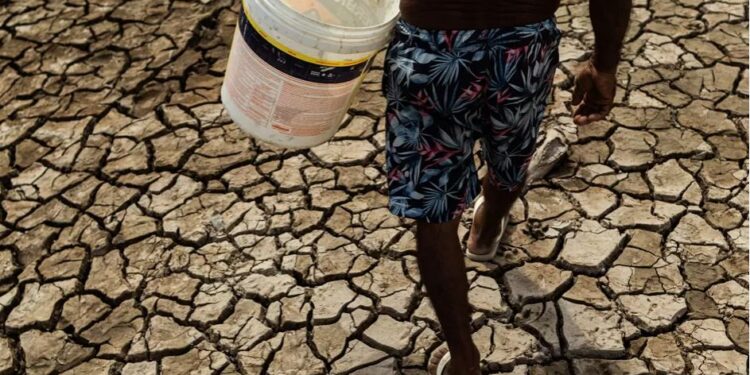 ძლიერი გვალვის შედეგად ამაზონში საგანგებო მდგომარეობაა გამოცხადებული