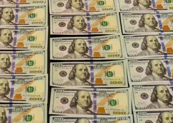 ყალბი ვალუტის გასაღების ფაქტზე საგამოძიებო სამსახურმა ერთი პირი დააკავა