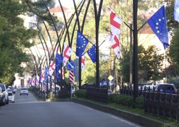 გურიის ახალი ამბები – 15.12.2023