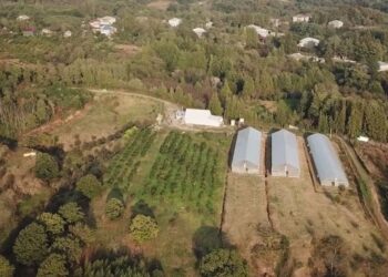 გურიის ახალი ამბები – 12. 12. 2023