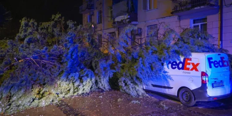 ბათუმში ძლიერმა ქარმა პრობლემები შექმნა – მოგლეჯილია ხეები, დაზიანებულია კორპუსების სახურავები და ელექტროგადამცემი ხაზები