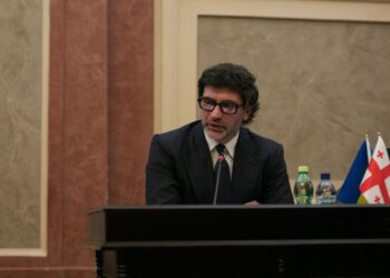 “ძაღლი არ არის ნივთი, რომ მაგალითად, აიღო და გარეთ დააგდო” – კახა კალაძე მიუსაფარი ცხოველების საკითხზე