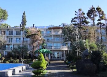 გურიის ახალი ამბები – 20.12.2023